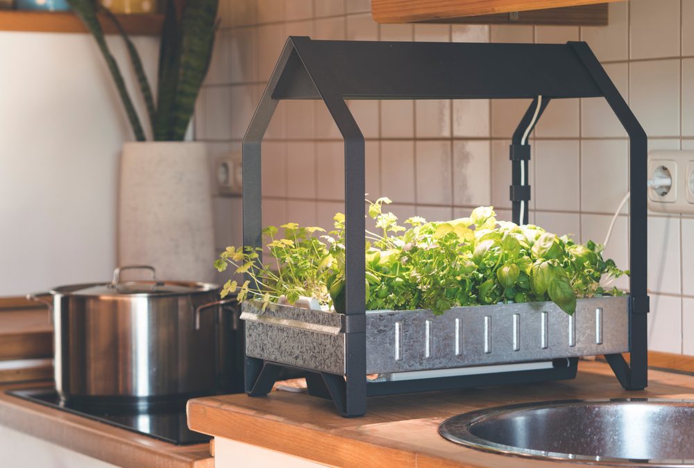 Things To Know Before Building a DIY Hydroponic System