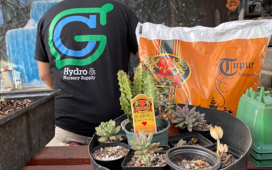 hydroponic garden