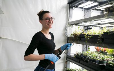 Do You Really Need a Grow Room Consultant? When Expert Help Makes a Difference